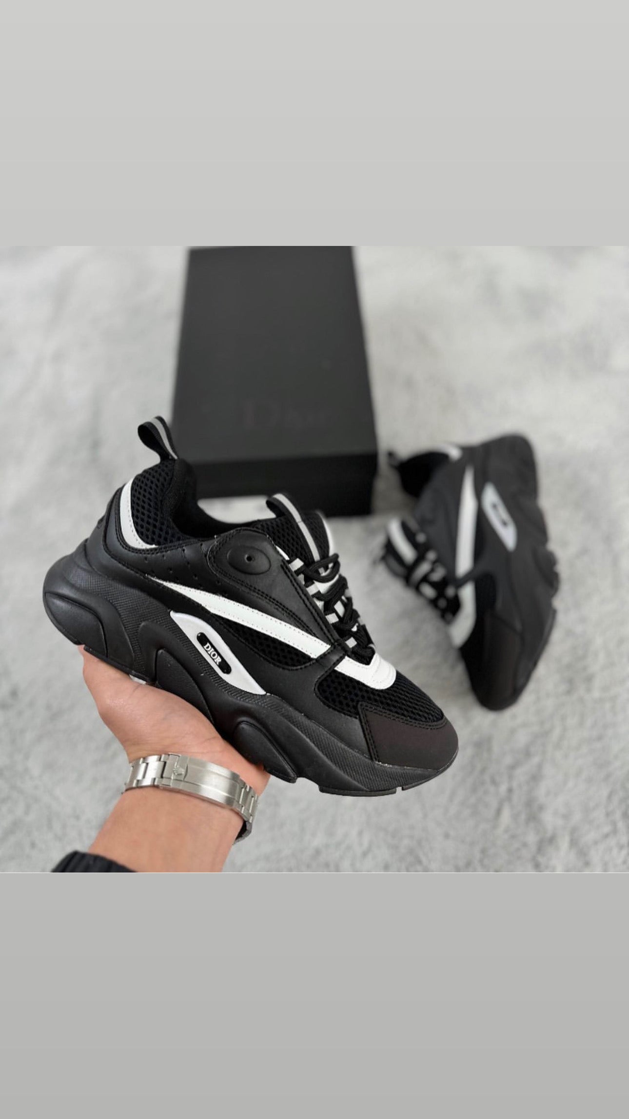 DIOR B22