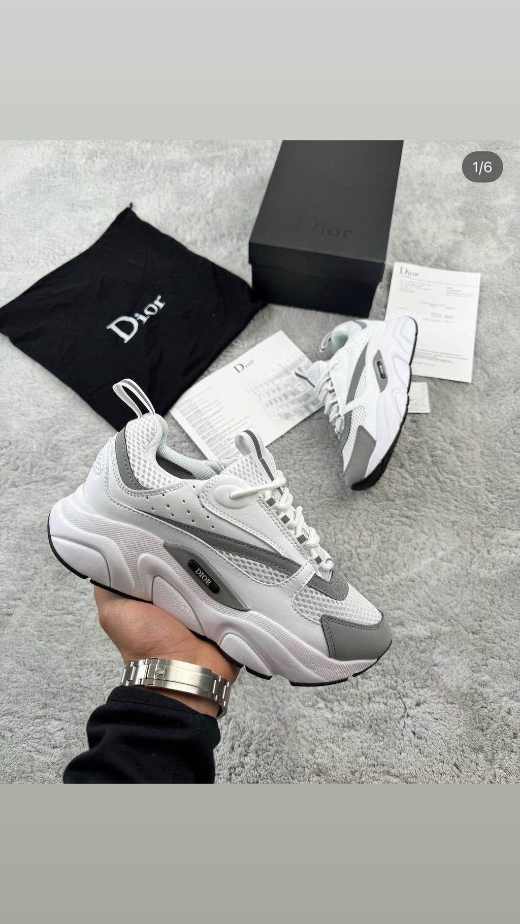 DIOR B22
