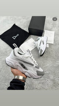 DIOR B22